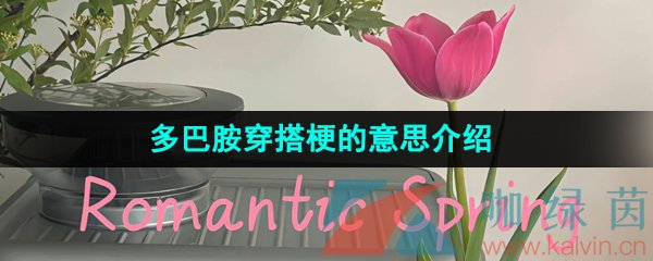 《抖音》多巴胺穿搭梗的意思介绍