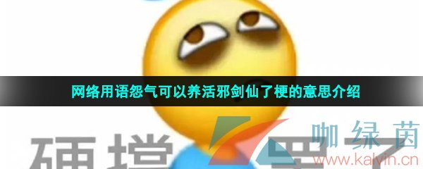 网络用语怨气可以养活邪剑仙了梗的意思介绍