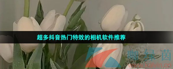 超多抖音热门特效的相机软件推荐