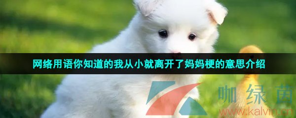 网络用语你知道的我从小就离开了妈妈梗的意思介绍