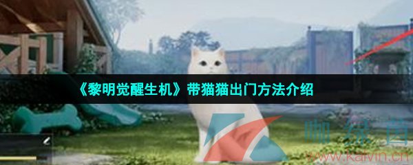 《黎明觉醒生机》带猫猫出门方法介绍