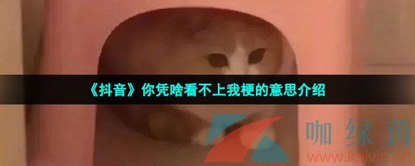 《抖音》你凭啥看不上我梗的意思介绍