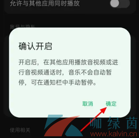 《汽水音乐》设置允许与其他应用一起播放方法介绍