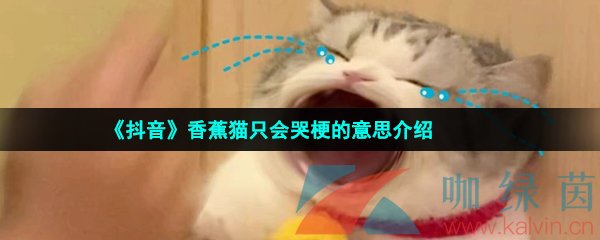 《抖音》香蕉猫只会哭梗的意思介绍