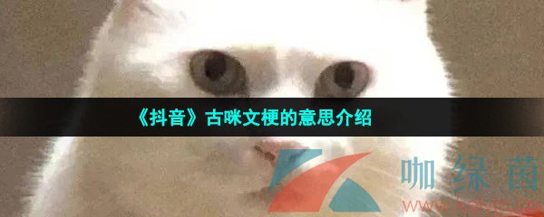 《抖音》古咪文梗的意思介绍