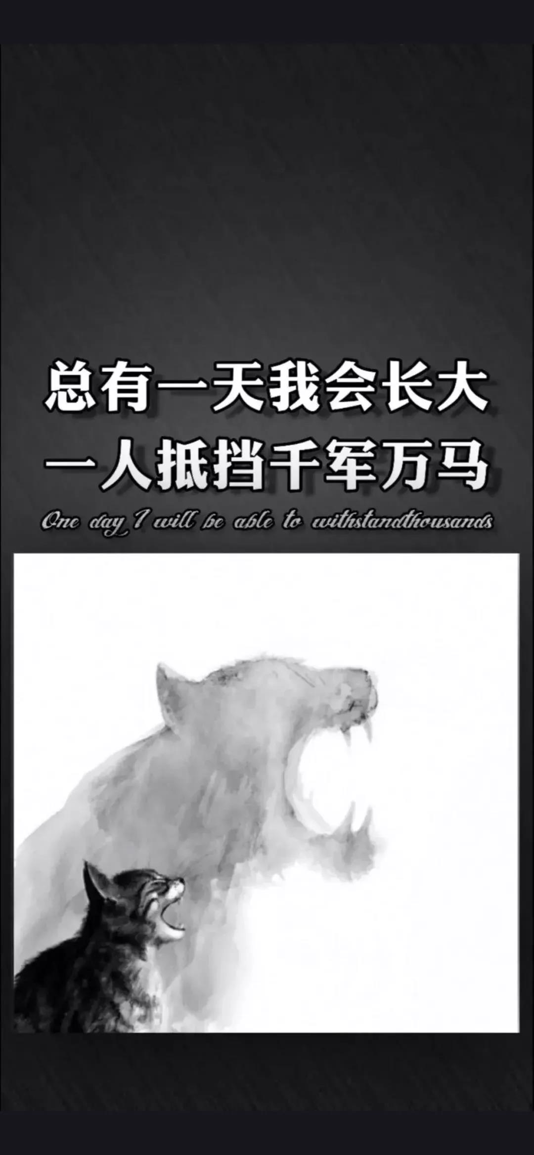 《抖音》总有一天我会长大一人抵挡千军万马手机壁纸分享