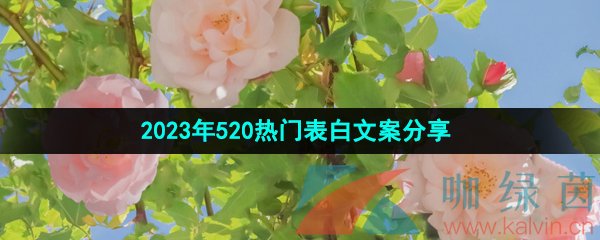 2023年520热门表白文案分享