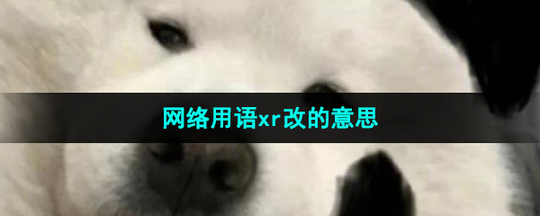 网络用语xr改的意思介绍