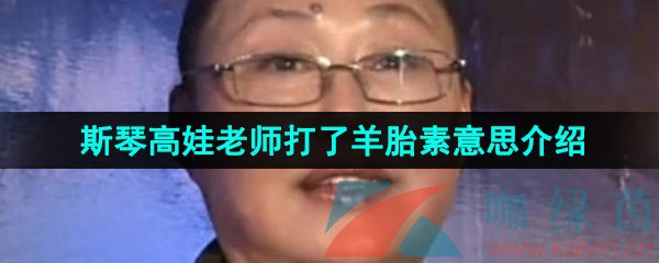 网络用语斯琴高娃老师打了羊胎素意思介绍