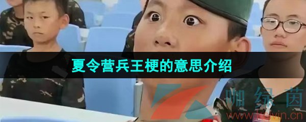 《抖音》夏令营兵王梗的意思介绍