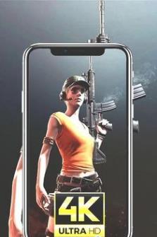 PUBG4K壁纸手机软件app截图