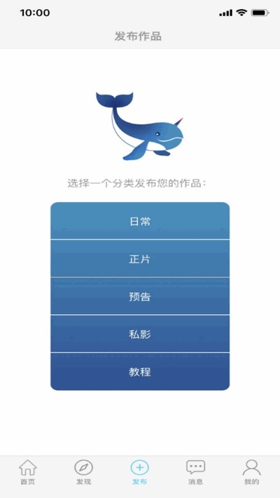 鸽派比赛报道手机软件app截图