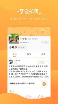 宠物部落手机软件app截图