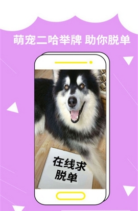 装啥手机软件app截图