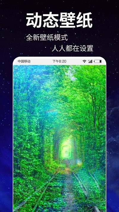 动态壁纸4k免费手机软件app截图