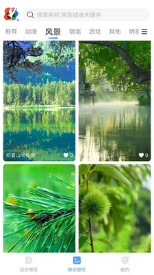小鸟壁纸v1.8.0版手机软件app截图