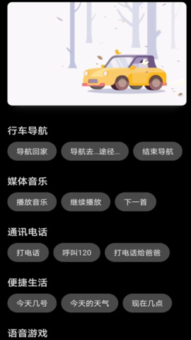 hicar智行手机软件app截图