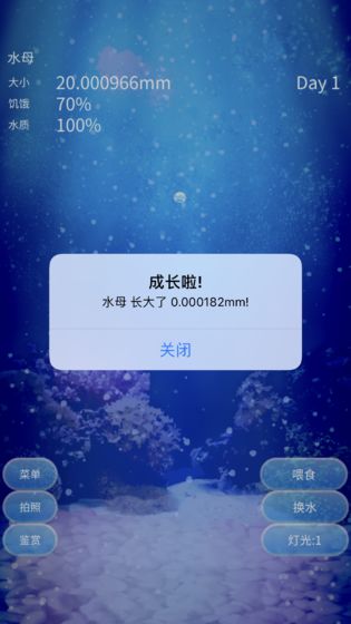 养育水母的治愈游戏手游app截图