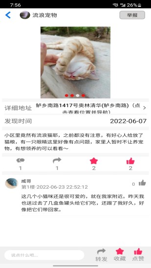 流浪宠物手机软件app截图