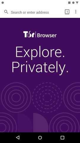 Tor Browser手机软件app截图