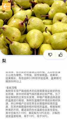 百果日记手机软件app截图