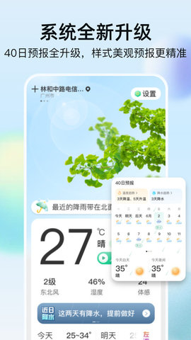 竹雨天气手机软件app截图