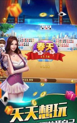 大丰棋牌手游app截图