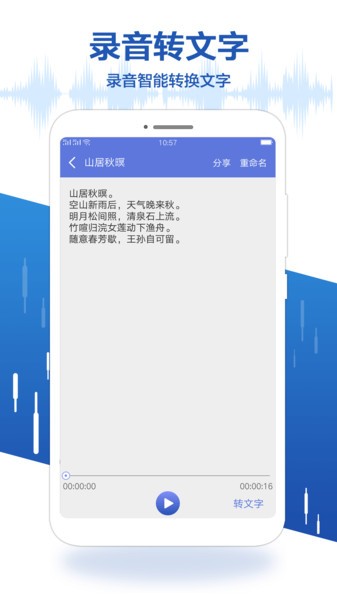 录音王转文字手机软件app截图